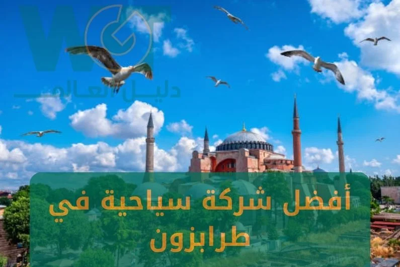 أفضل شركة سياحية في طرابزون 2024