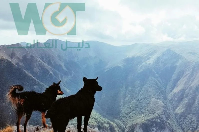 السياحة في البوسنة